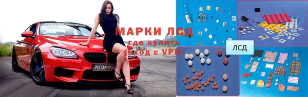 прущие грибы Дмитровск