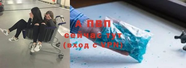 бошки Ветлуга
