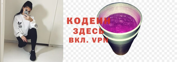 прущие грибы Дмитровск