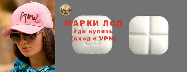 прущие грибы Дмитровск