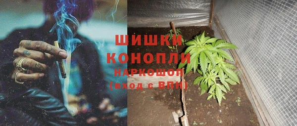 прущие грибы Дмитровск