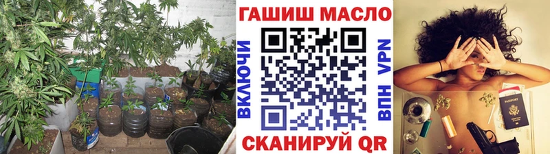 гидра зеркало  Болохово  ТГК THC oil 